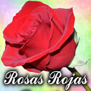 Rosas rojas imagenes bonitas APK