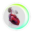 APK interesting phrases