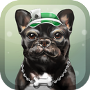 French Bulldog Live Wallpaper APK