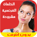 جميع الكلمات الفرنسية بالشرح APK