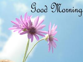 Good Morning bài đăng