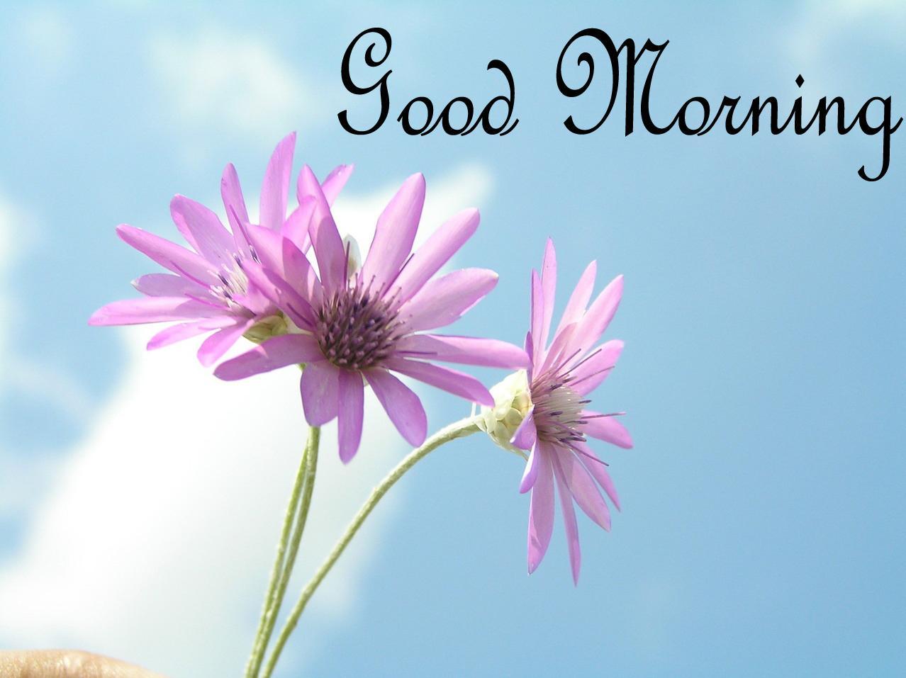 Android 用の Good Morning Apk をダウンロード Android 用の Good Morning Apk をダウンロード