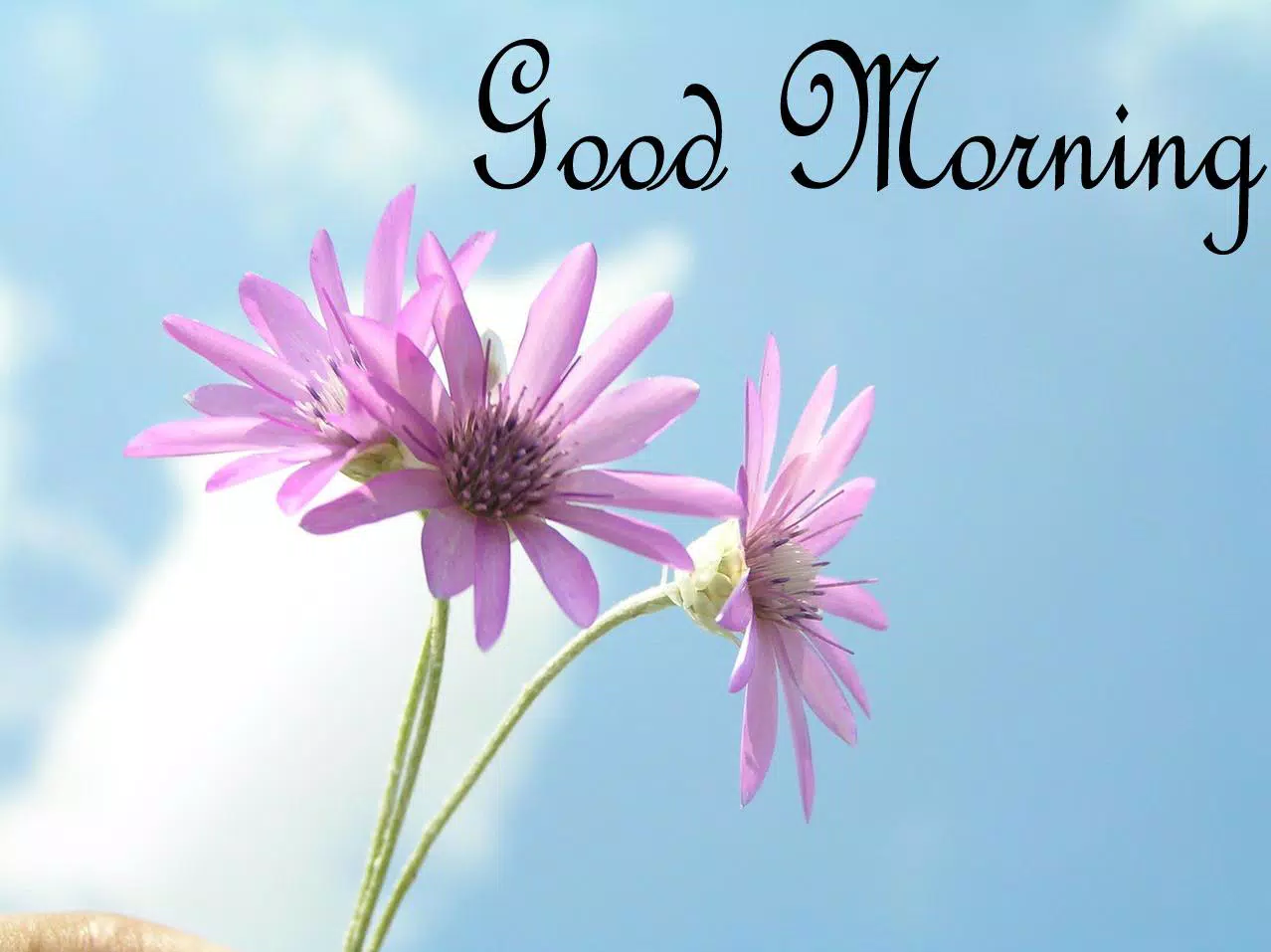 Android向けのgood Morning Apkをダウンロードしましょう