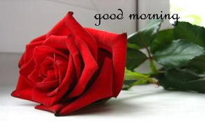 Good Morning ảnh chụp màn hình 1