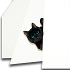 Cat Wallpaper icono