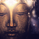 Buddha Quotes & Wisdom aplikacja