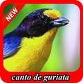 Canto De Guriata