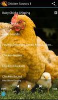 Chicken Sounds capture d'écran 2