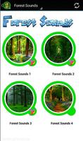 Forest Sounds capture d'écran 1