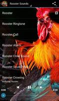 Rooster Sounds capture d'écran 1