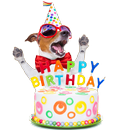 Birthday Photo Frames APK