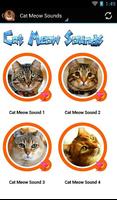 Cat Sounds ภาพหน้าจอ 1