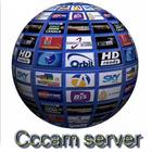 Free CCcam أيقونة