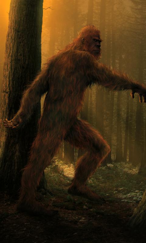 free bigfoot wallpapers for Android - APK Download