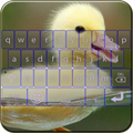 Animal Keyboard Theme