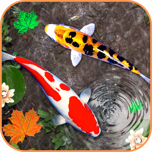 3D Koi Fish Wallpaper HD - 3D Fish Live Wallpapers APK  for Android –  Download 3D Koi Fish Wallpaper HD - 3D Fish Live Wallpapers APK Latest  Version from 