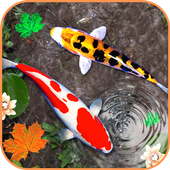 3d fish wallpaper free download for mobile phone