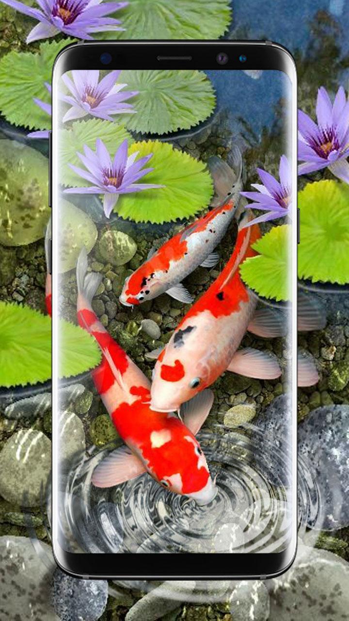 Tải xuống APK hình nền cá koi - hình nền nước đọng 3d fish theme cho Android
