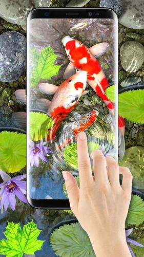Hình nền 3D với hình ảnh cá Koi đang bơi lội cực kỳ sống động và hấp dẫn. Bạn sẽ cảm nhận được những cảm xúc thật sự tuyệt vời khi sử dụng hình nền này trên điện thoại hay máy tính bảng của mình.