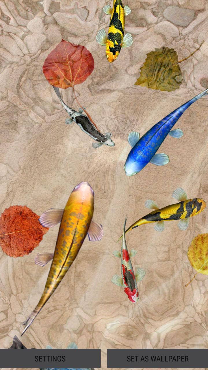 Descarga de APK de fondo de pantalla en movimiento 3d de pescados para Android Descarga de APK de fondo de pantalla en movimiento 3d de pescados para Android
