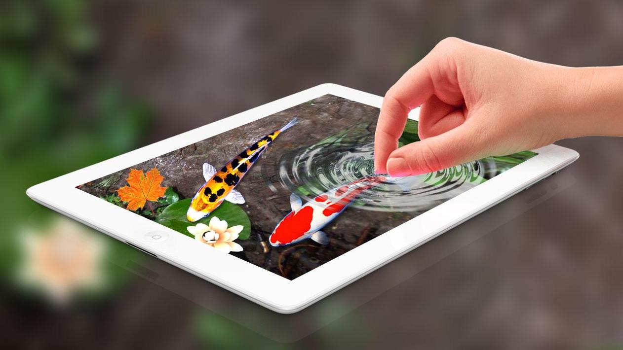 Koi Fish Wallpaper HD - 3D Fish Live Wallpaper APK voor Android Download