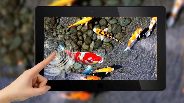 Download 3d Koi Fish Wallpaper Hd 3d Fish Live Wallpapers Apk