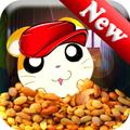 Hamster Ruso-Game Free