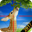 Safari wild Deer Hunting