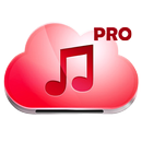 Music Paradise-Pro APK
