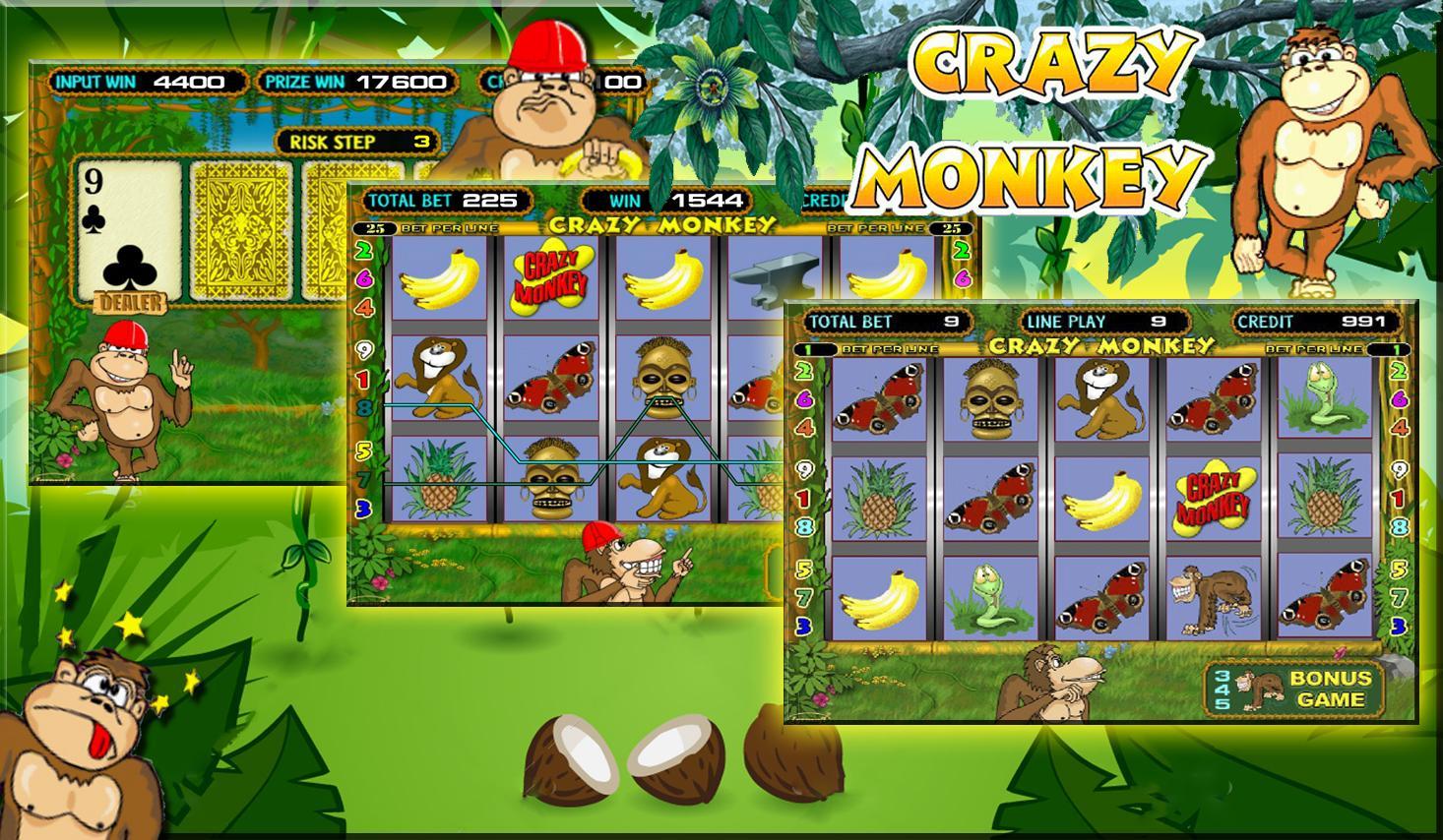 Crazy monkey демо игра