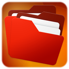 File System Manager icône