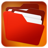 File System Manager icon