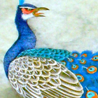 free peacock wallpaper আইকন