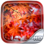 Autumn Wallpaper HD Zeichen