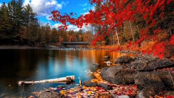 Autumn Wallpaper HD Screenshot 3