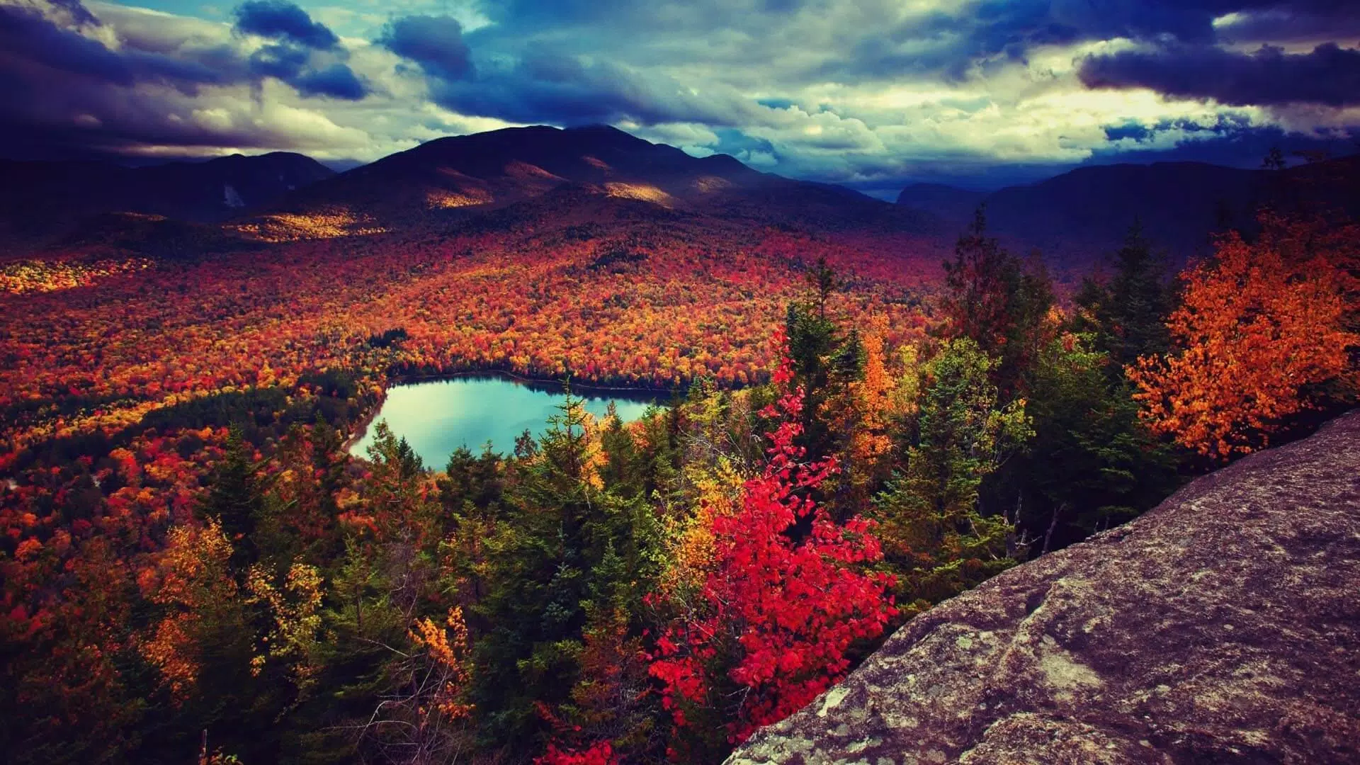 Autumn Wallpaper HD APK for Android Download