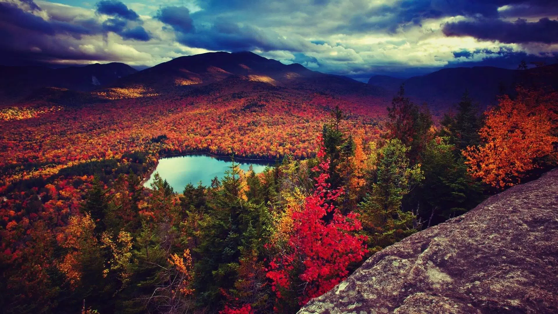Autumn Wallpaper HD APK for Android Download Autumn Wallpaper HD APK for Android Download