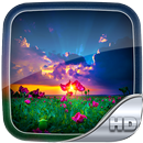 Beautiful Wallpaper HD APK