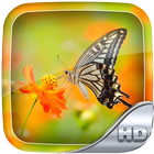 Butterfly Wallpaper HD आइकन
