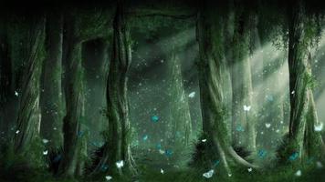 Fairy Wallpaper HD تصوير الشاشة 2