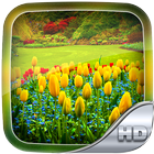 Garden Wallpaper HD 아이콘