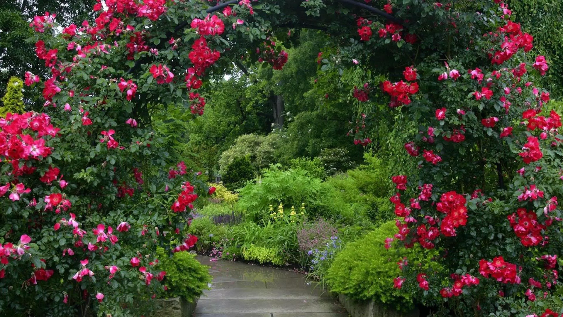 Garden Wallpaper HD APK for Android Download