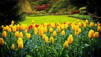 Garden Wallpaper HD 스크린샷 1