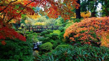 Garden Wallpaper HD 스크린샷 2