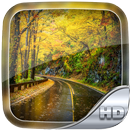 Rain Forest Wallpaper HD APK