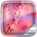 Sakura Wallpaper HD APK