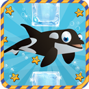 APK Whale Swim