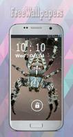 Spider Wallpapers Free 포스터