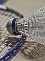 Badminton Wallpapers Mobile imagem de tela 2