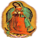 APK La Bella Virgen Guadalupe